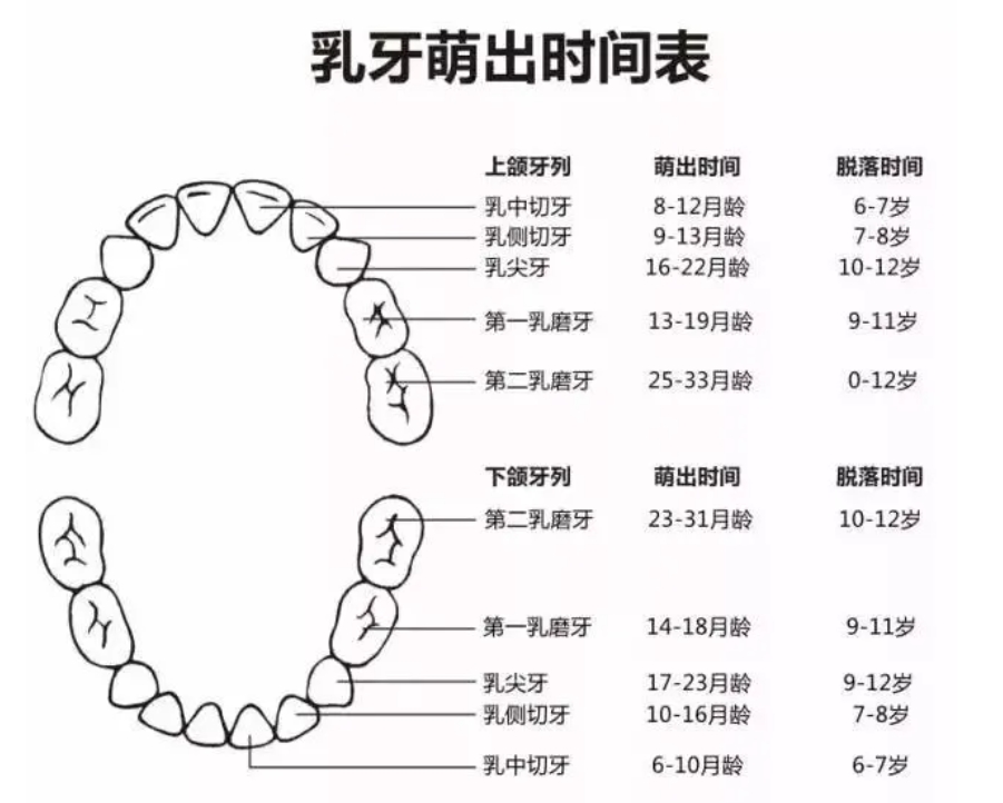 微信截图_20240605161116.png